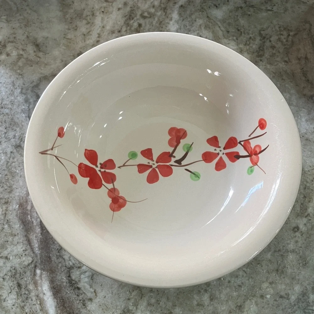 Coupe Cereal Bowl PER180 by PIER 1 Set Of 4